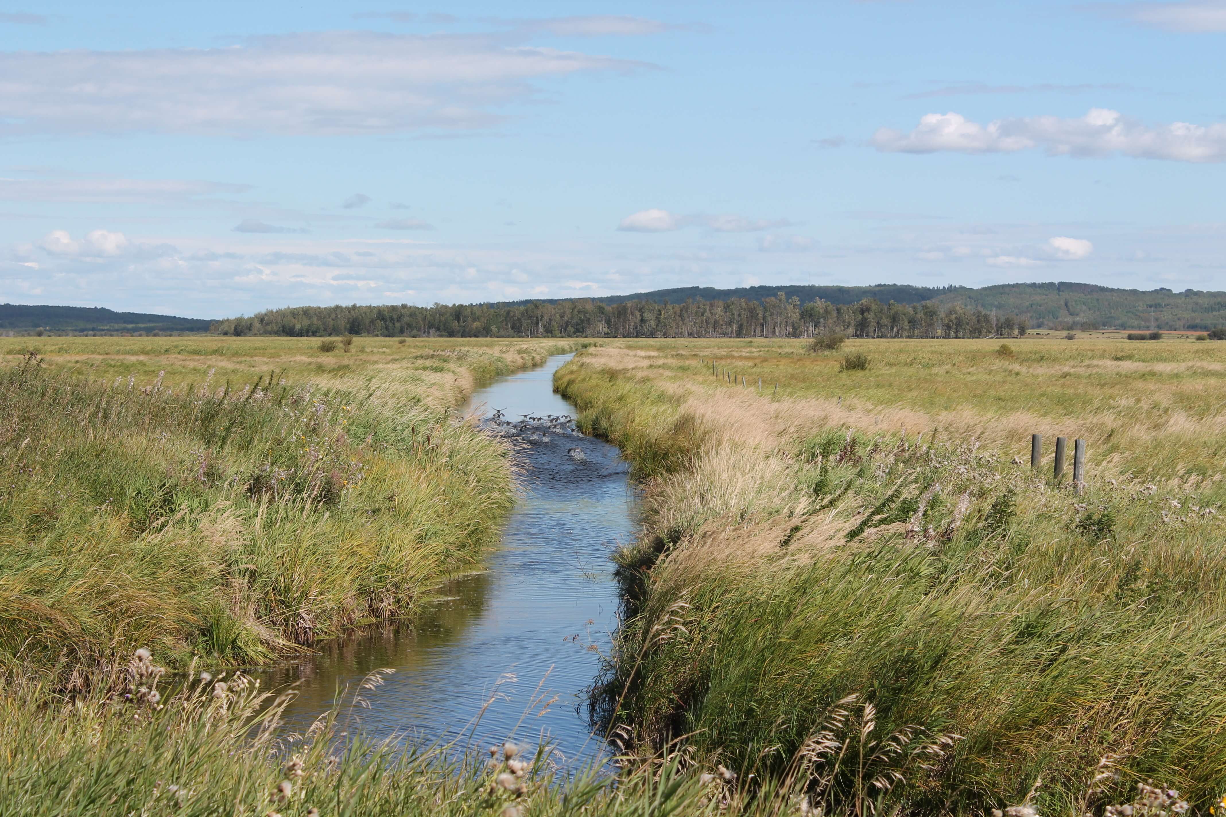 West-Central Forage Association