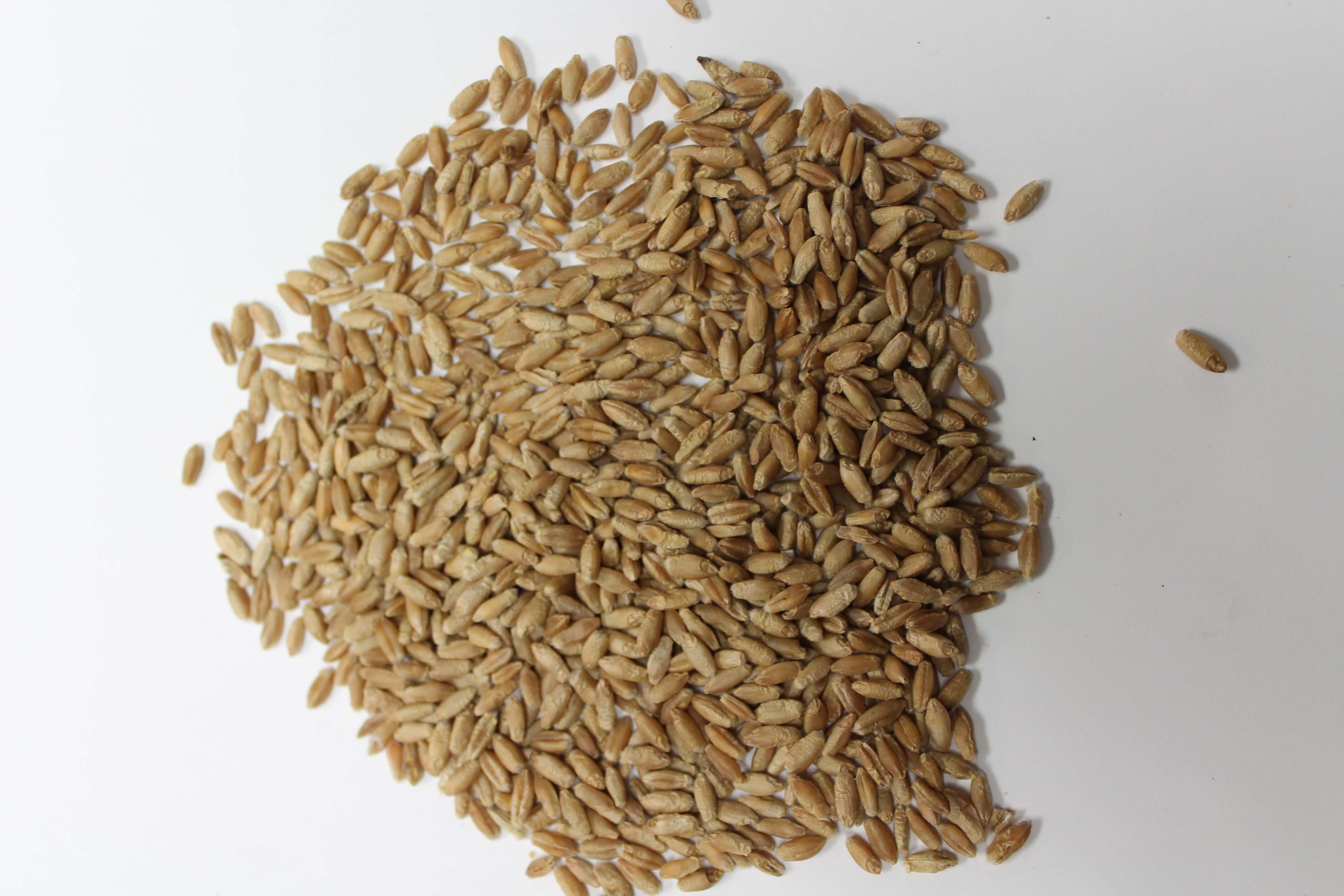 West-Central Forage Association