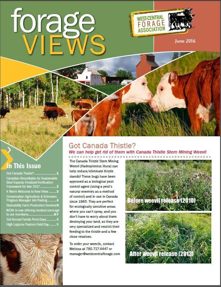 June cover.JPG