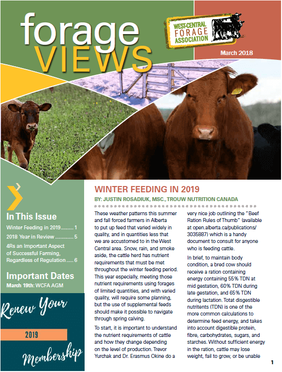 March 2019 Cover.png