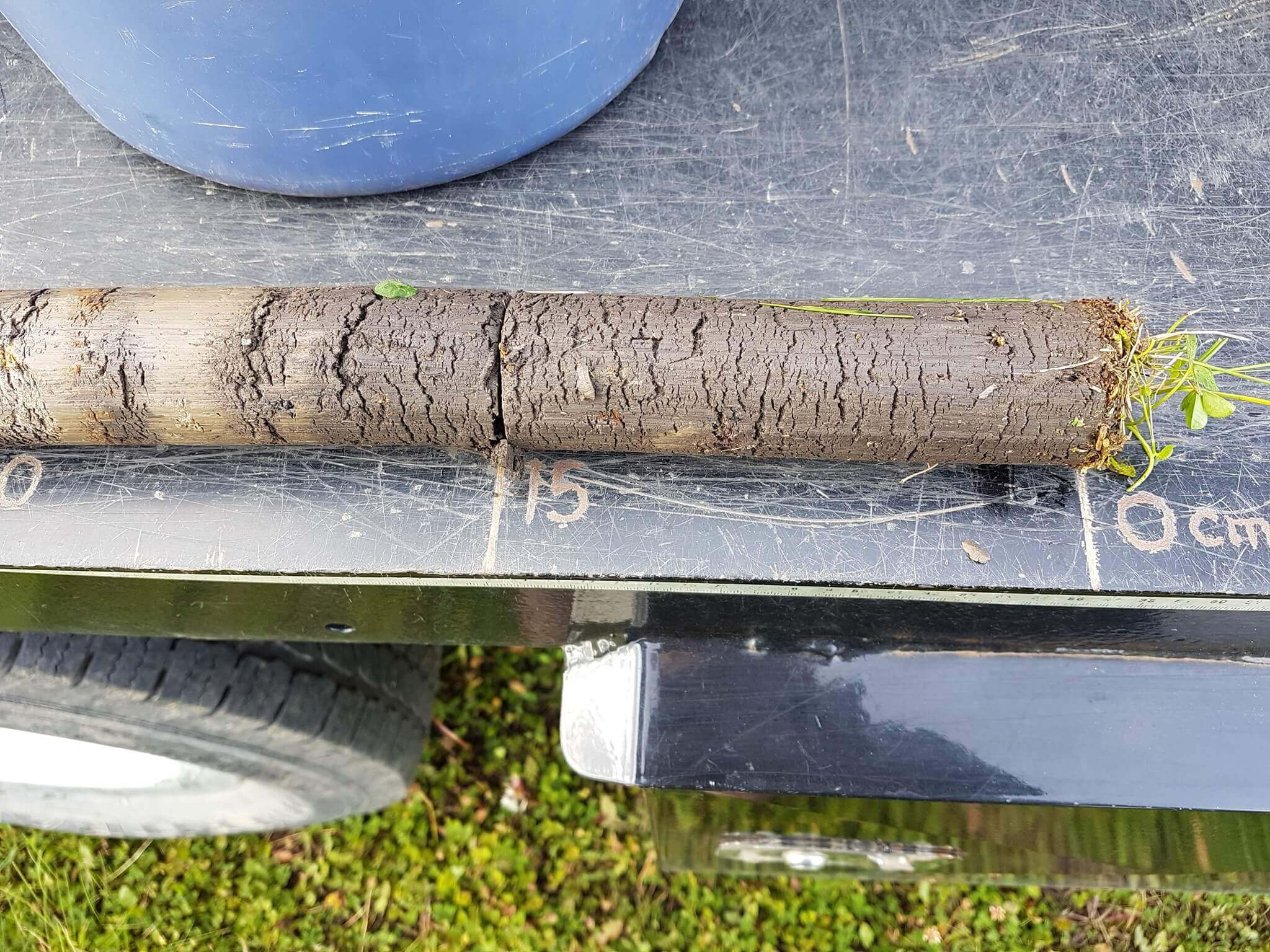 West-Central Forage Association