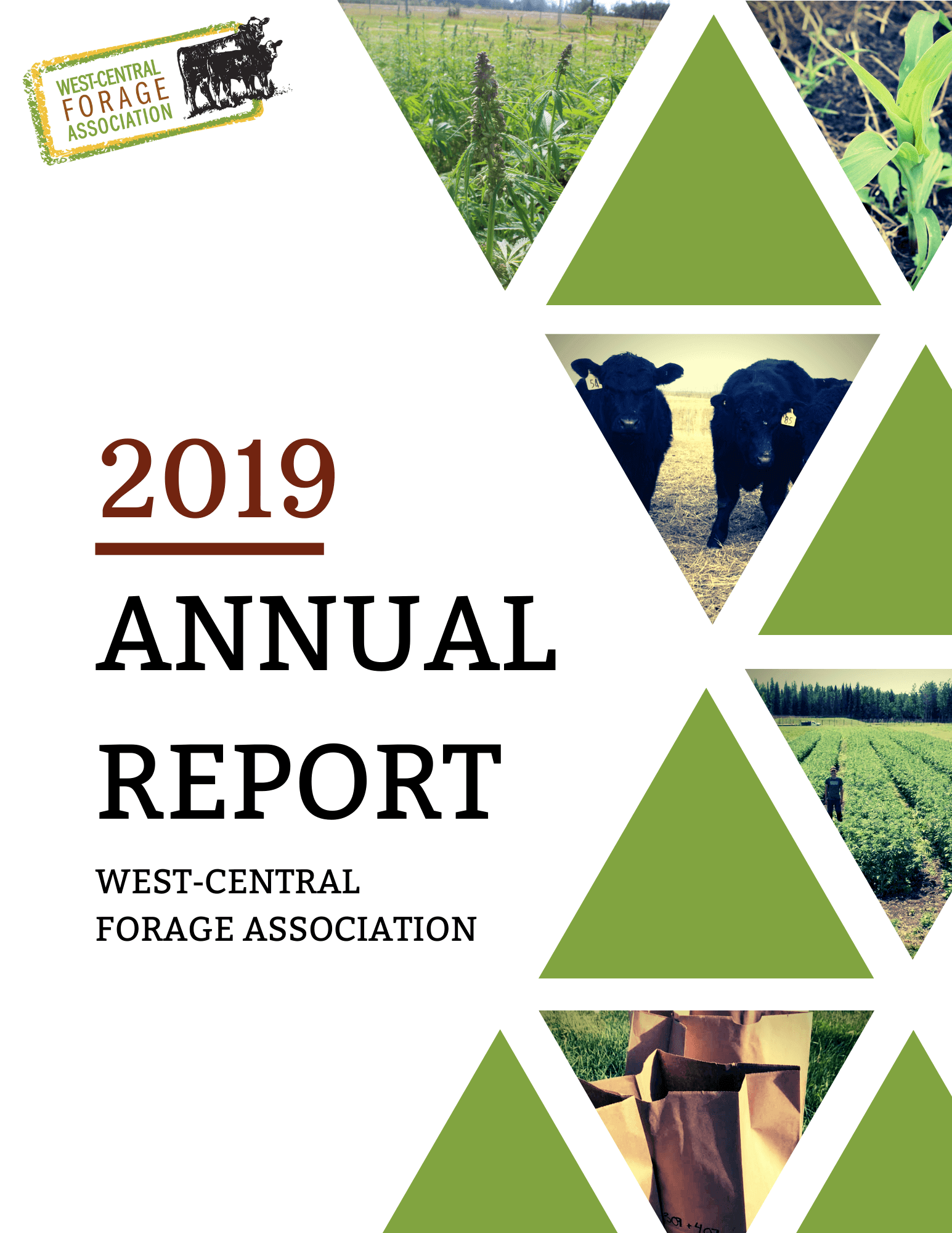 2019 AR Cover
