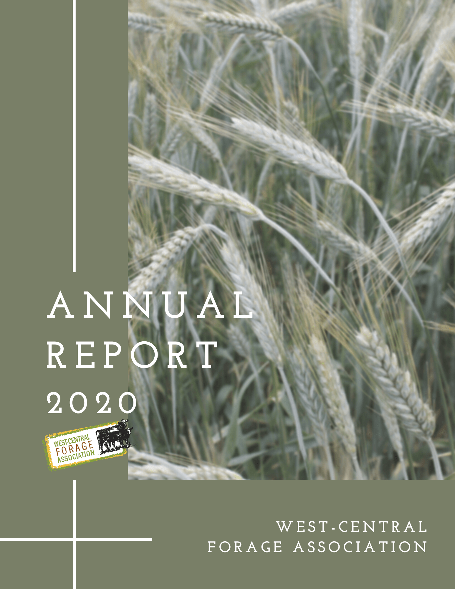 2020 Annual Report Covers .png