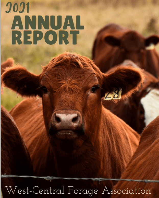 2021 Annual Report Cover .png