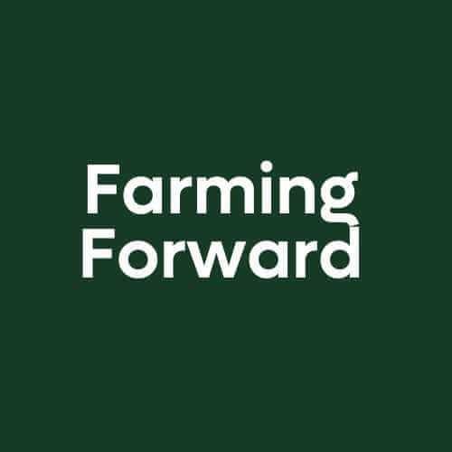 Logo IGFB.jpg LeftImg.Name